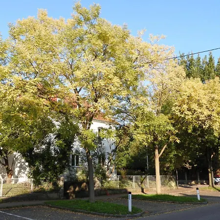 Apartment Family Wohnen Mit Garten Am Fusse Des Poestlingbergs Lage Villenviertel Linz