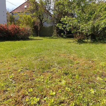 Lägenhet Family Wohnen Mit Garten Am Fusse Des Poestlingbergs Lage Villenviertel
