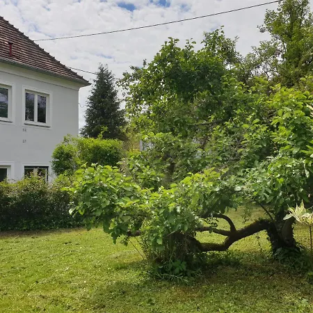 Apartment Family Wohnen Mit Garten Am Fusse Des Poestlingbergs Lage Villenviertel *