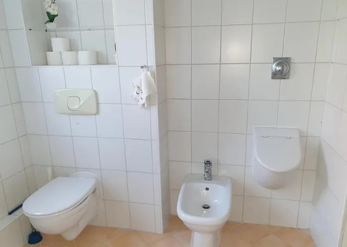 Family Wohnen Mit Garten Am Fusse Des Poestlingbergs Lage Villenviertel 林茨