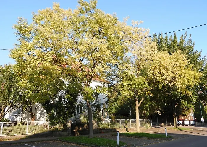 公寓 Family Wohnen Mit Garten Am Fusse Des Poestlingbergs Lage Villenviertel 林茨