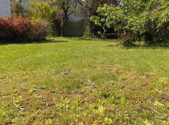 Апартаменти Family Wohnen Mit Garten Am Fusse Des Poestlingbergs Lage Villenviertel