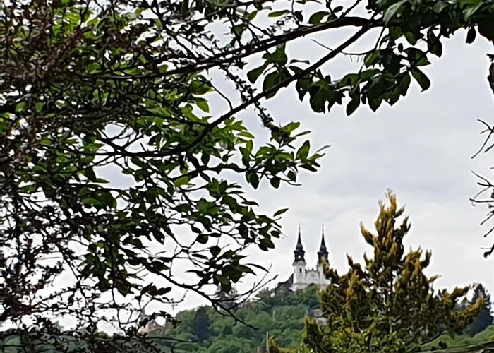 Family Wohnen Mit Garten Am Fusse Des Pöstlingbergs Lage Villenviertel Apartment