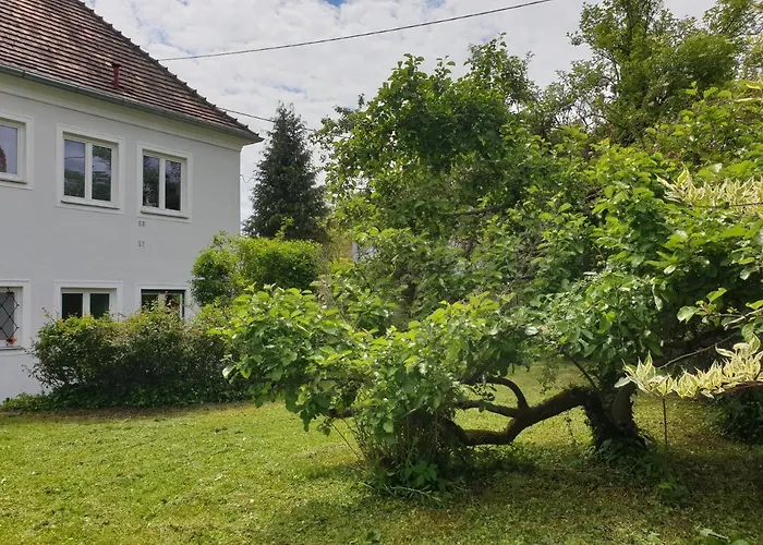 Апартаменти Family Wohnen Mit Garten Am Fusse Des Poestlingbergs Lage Villenviertel *