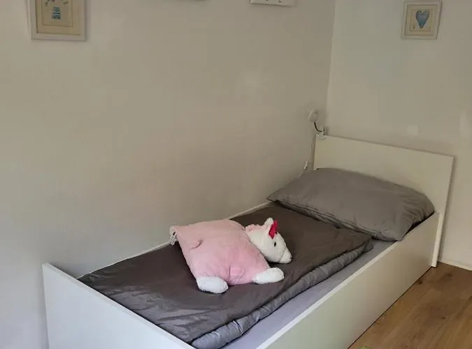 Family Wohnen Mit Garten Am Fusse Des Poestlingbergs Lage Villenviertel 公寓 林茨