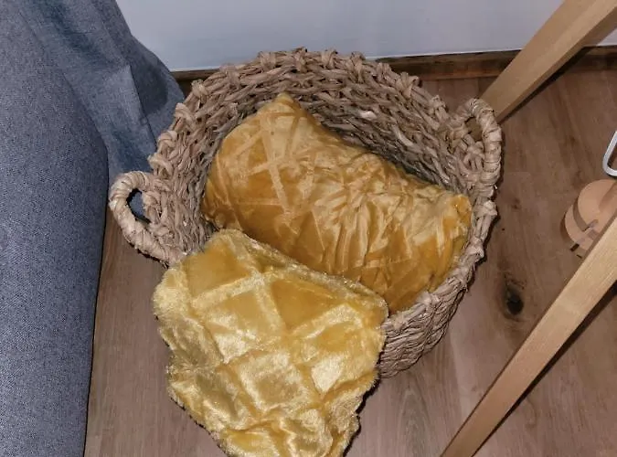 Family Wohnen Mit Garten Am Fusse Des Poestlingbergs Lage Villenviertel *