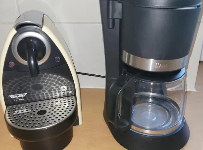 Family Wohnen Mit Garten Am Fusse Des Poestlingbergs Lage Villenviertel * 林茨